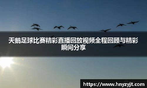 天鹅足球比赛精彩直播回放视频全程回顾与精彩瞬间分享